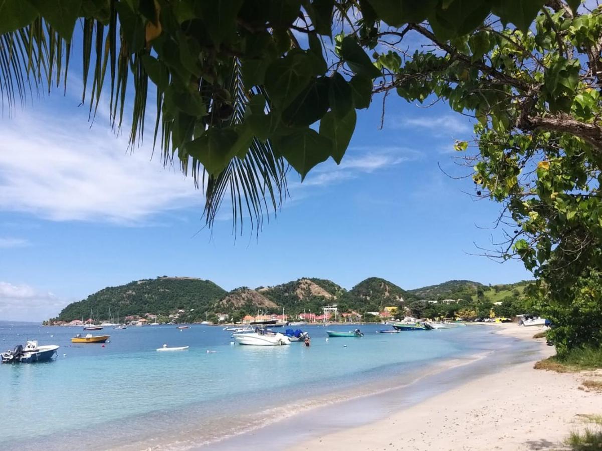 Studio 1 - Grande Anse - 4 Pers - Proche Bourg Terre-De-Haut Kültér fotó