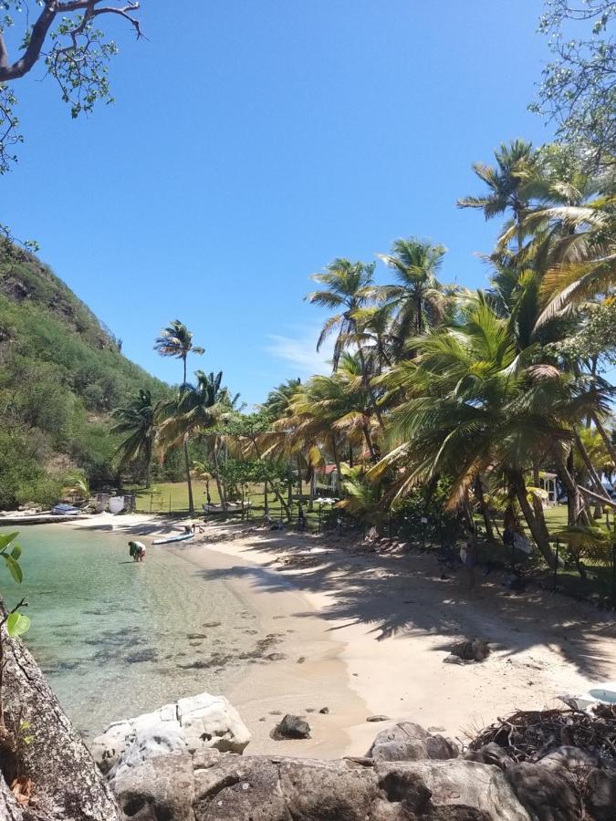 Studio 1 - Grande Anse - 4 Pers - Proche Bourg Terre-De-Haut Kültér fotó